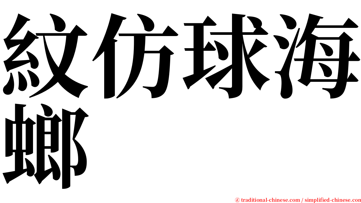 紋仿球海螂 serif font