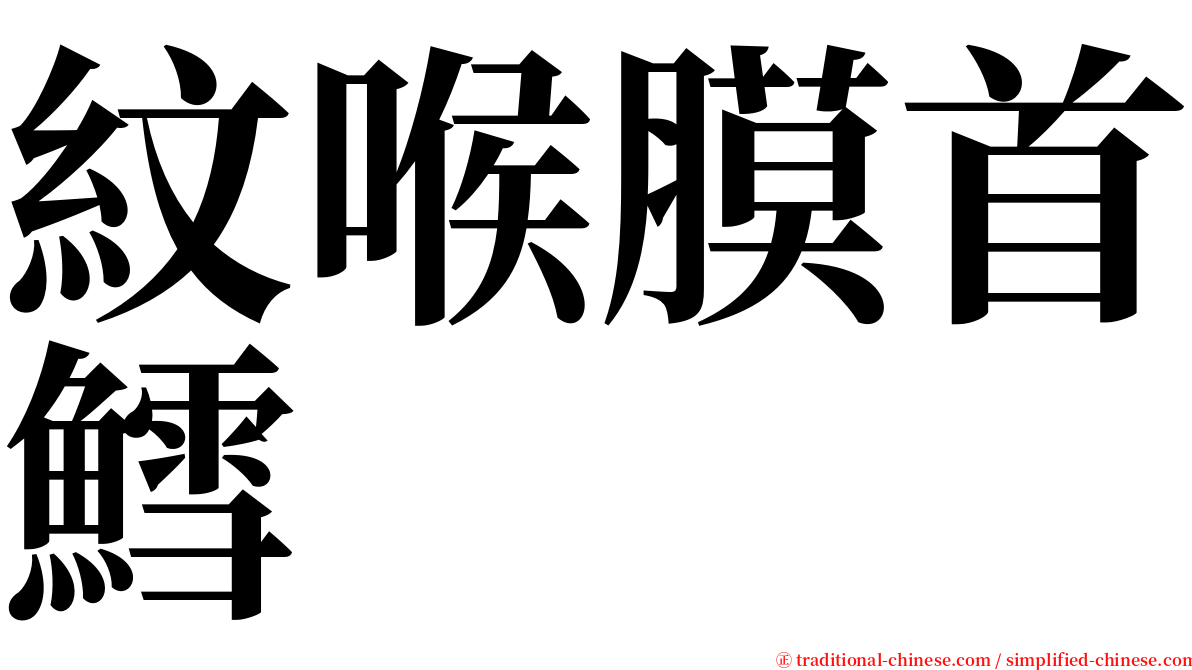 紋喉膜首鱈 serif font