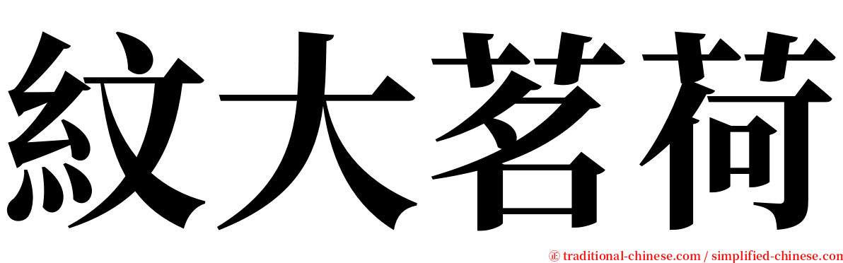 紋大茗荷 serif font