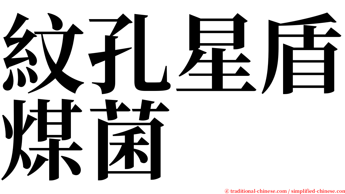 紋孔星盾煤菌 serif font