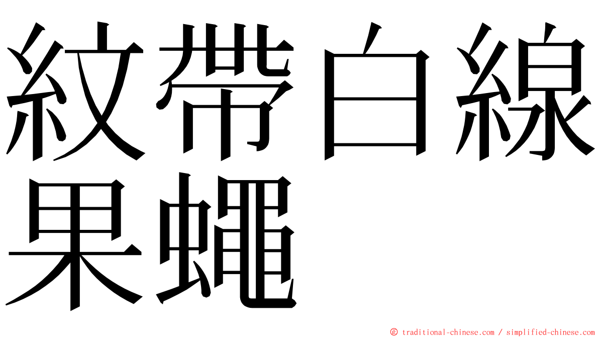 紋帶白線果蠅 ming font