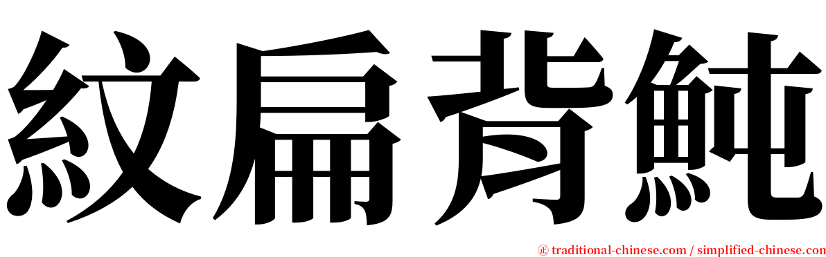 紋扁背魨 serif font