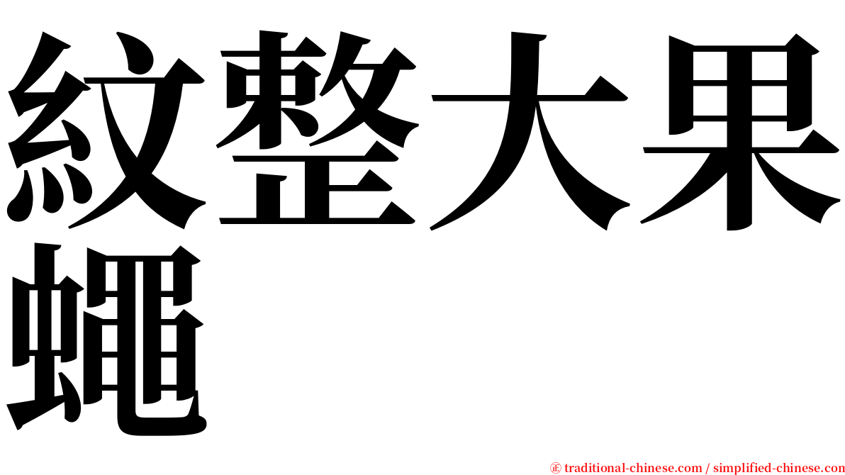 紋整大果蠅 serif font