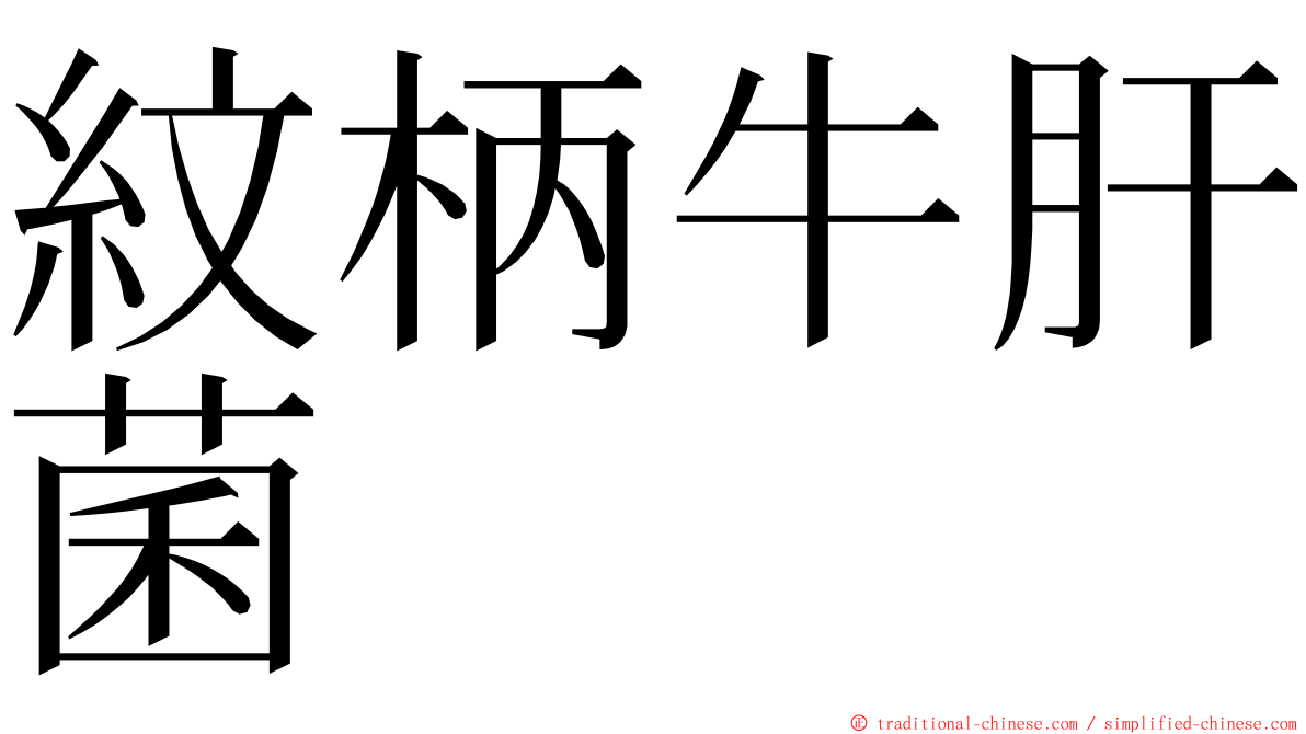 紋柄牛肝菌 ming font