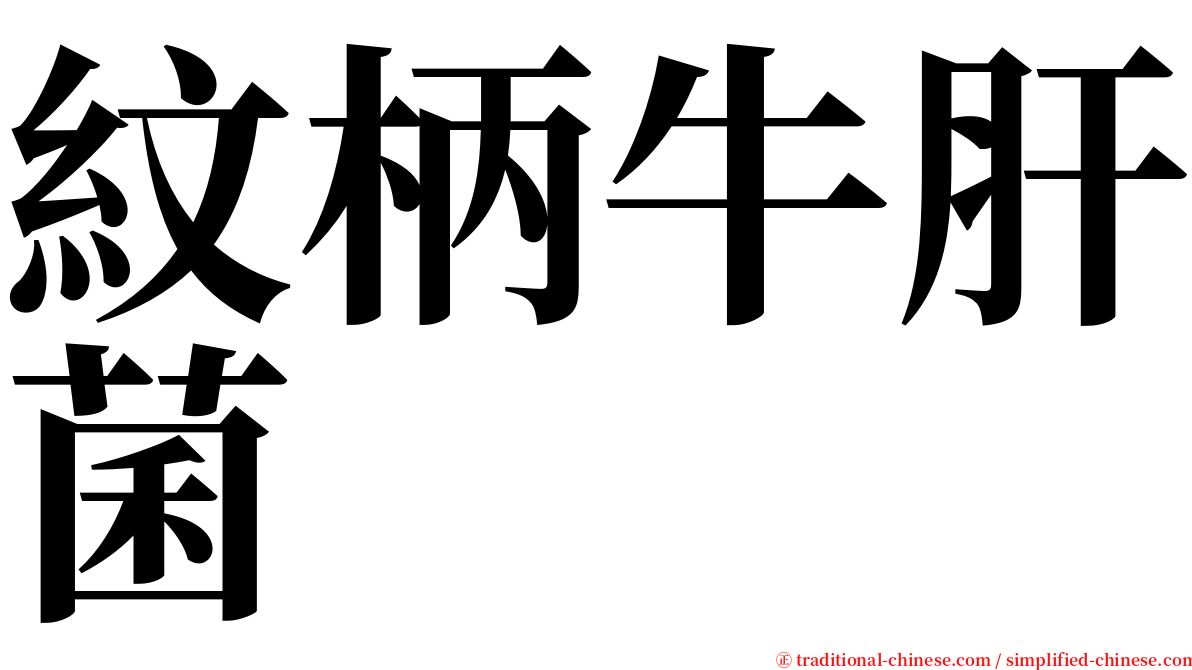 紋柄牛肝菌 serif font