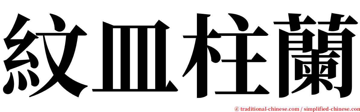 紋皿柱蘭 serif font