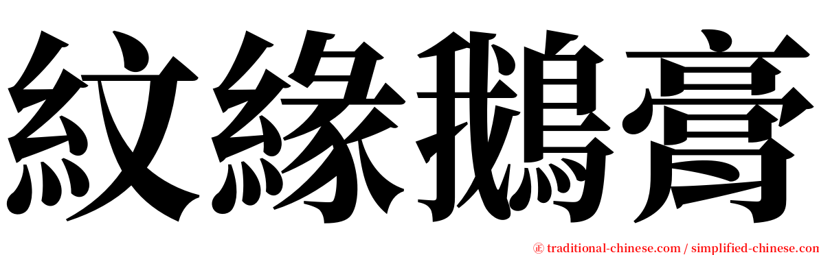 紋緣鵝膏 serif font