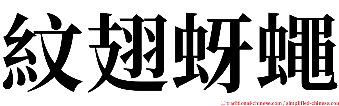 紋翅蚜蠅 serif font