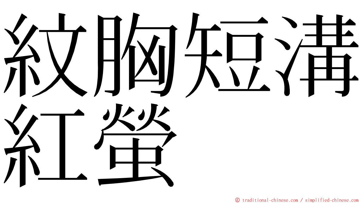 紋胸短溝紅螢 ming font