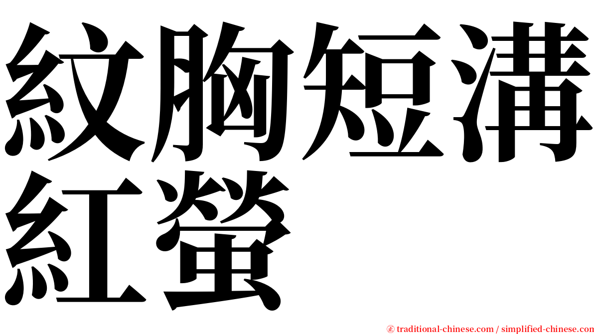 紋胸短溝紅螢 serif font