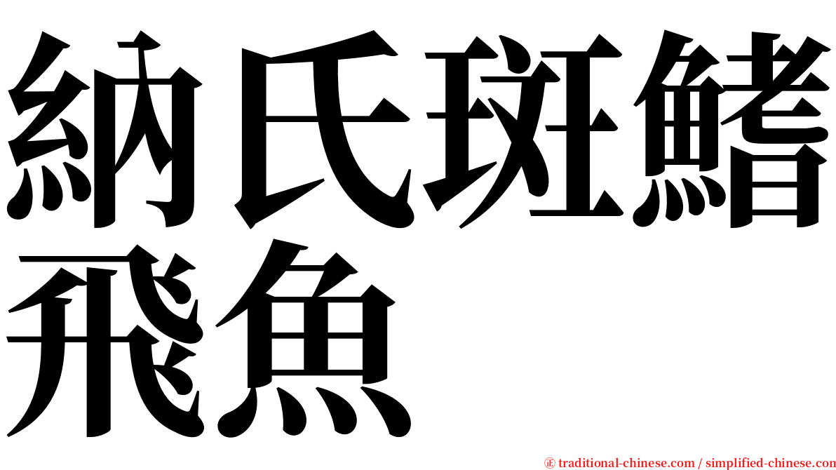納氏斑鰭飛魚 serif font