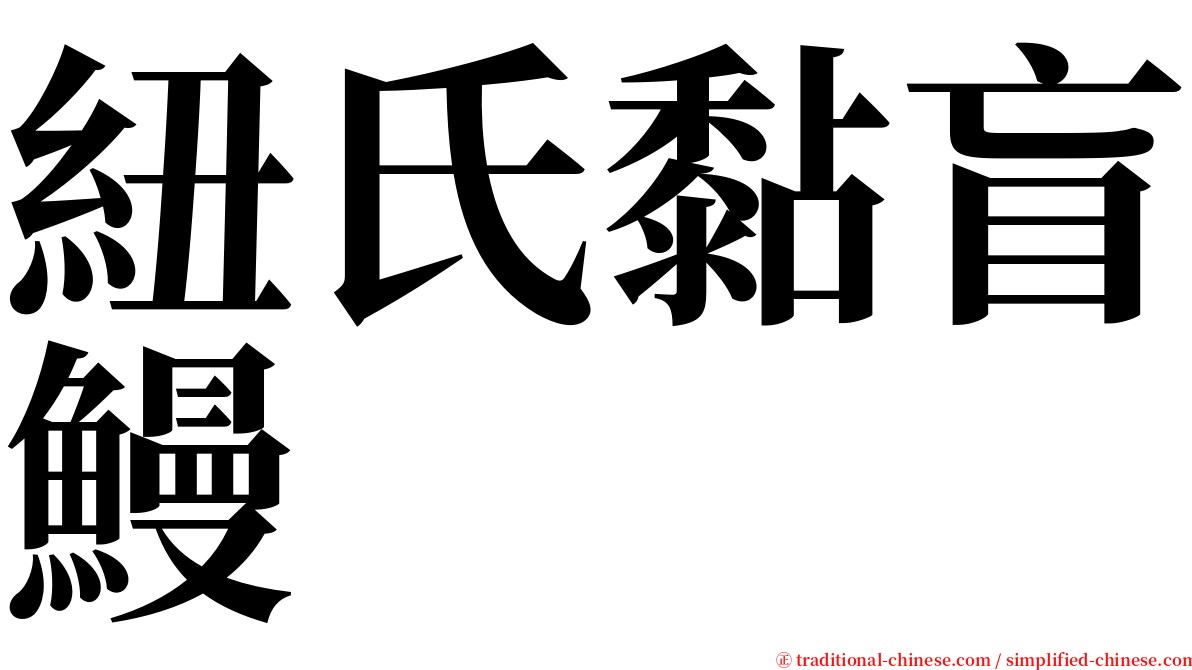 紐氏黏盲鰻 serif font