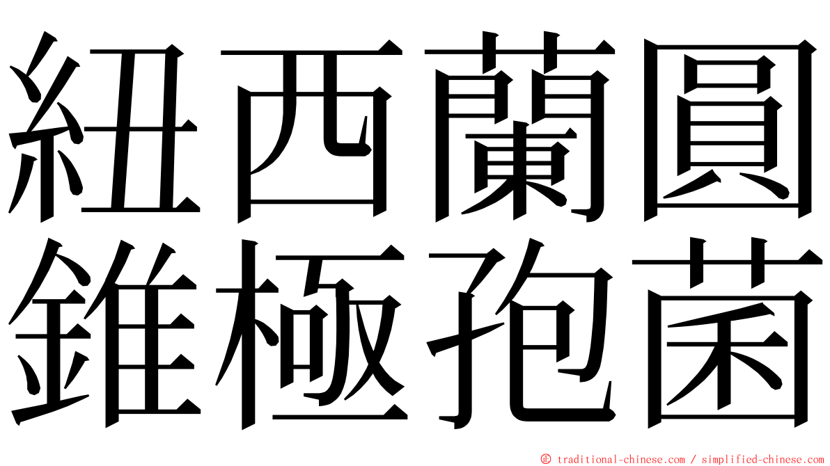 紐西蘭圓錐極孢菌 ming font