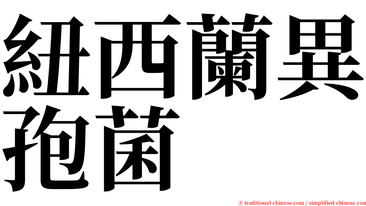 紐西蘭異孢菌 serif font