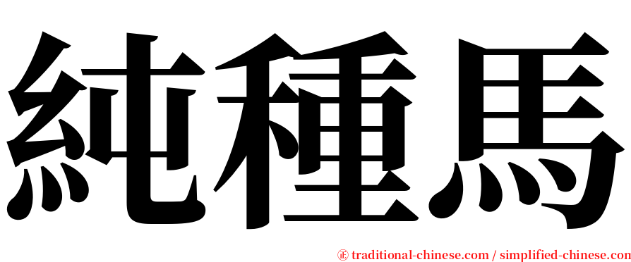 純種馬 serif font