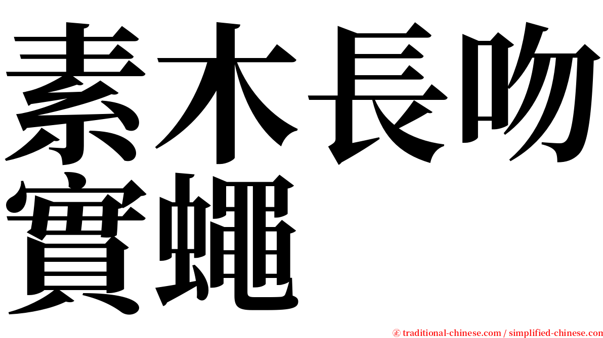 素木長吻實蠅 serif font