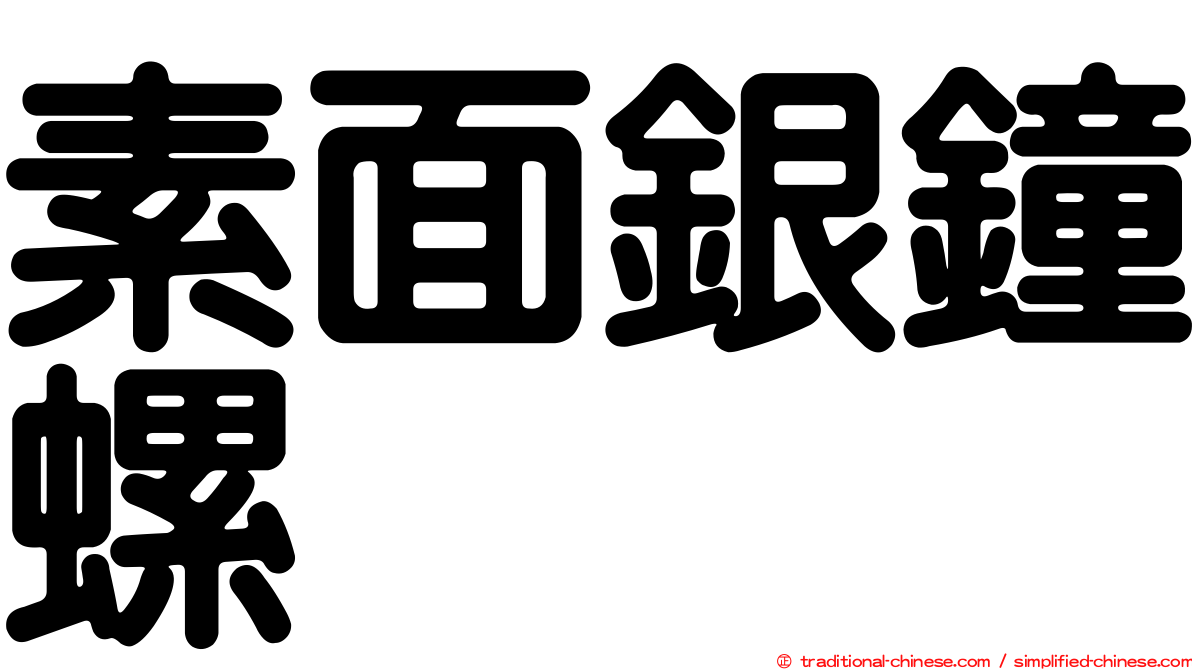 素面銀鐘螺