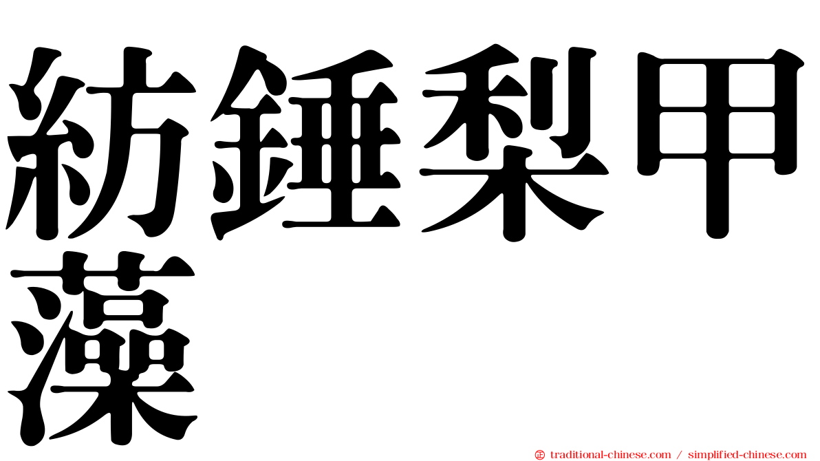 紡錘梨甲藻