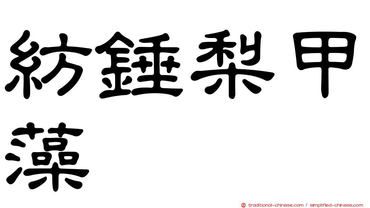 紡錘梨甲藻