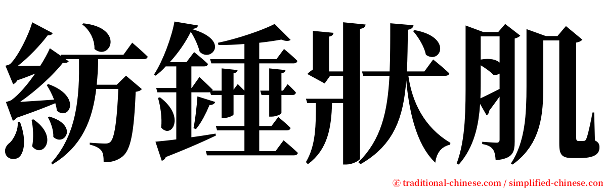 紡錘狀肌 serif font