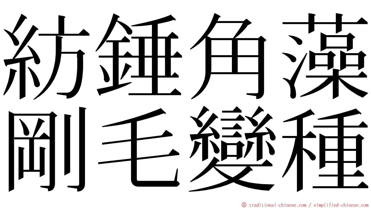 紡錘角藻剛毛變種 ming font