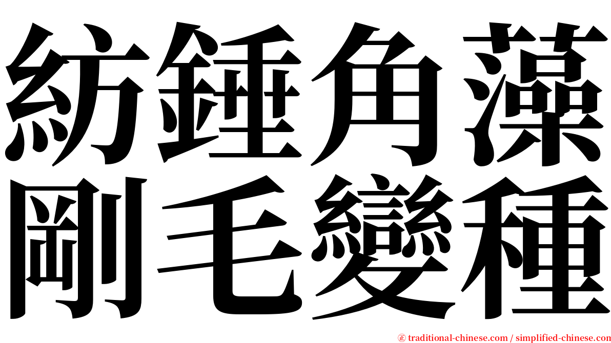 紡錘角藻剛毛變種 serif font