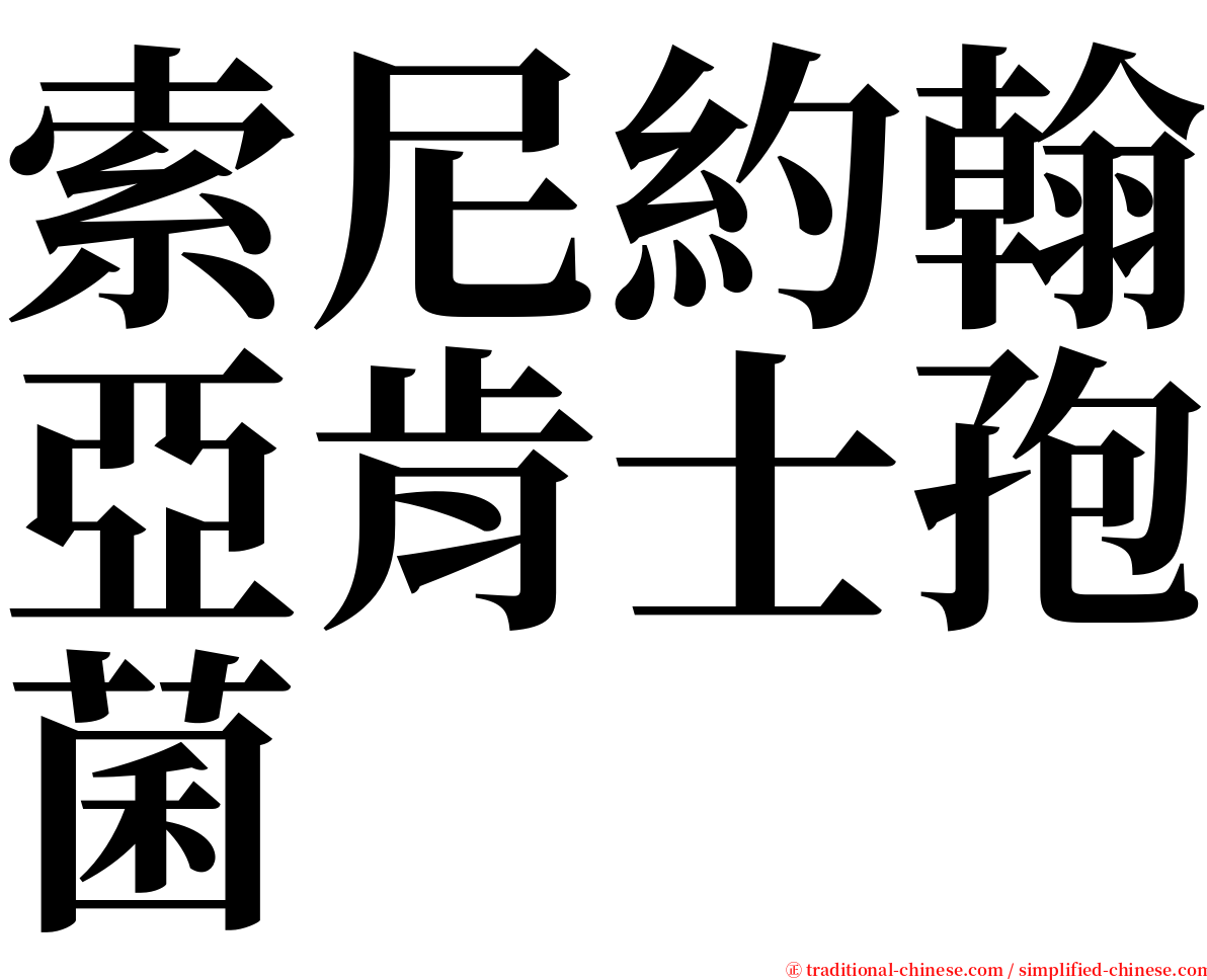 索尼約翰亞肯士孢菌 serif font