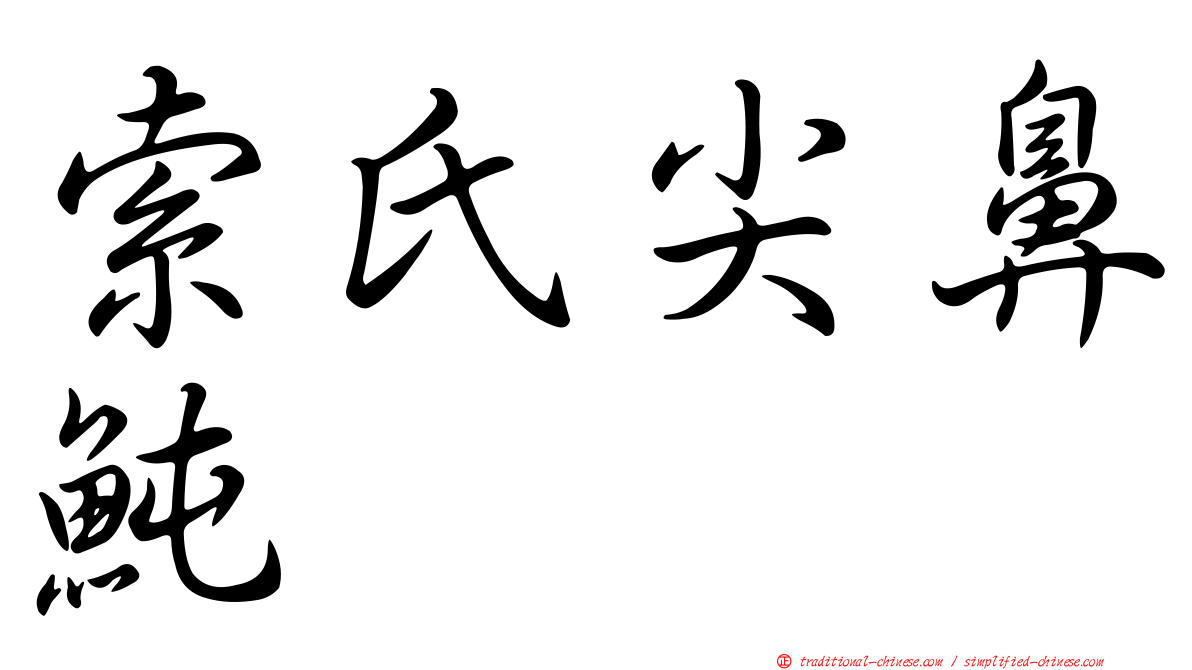 索氏尖鼻魨