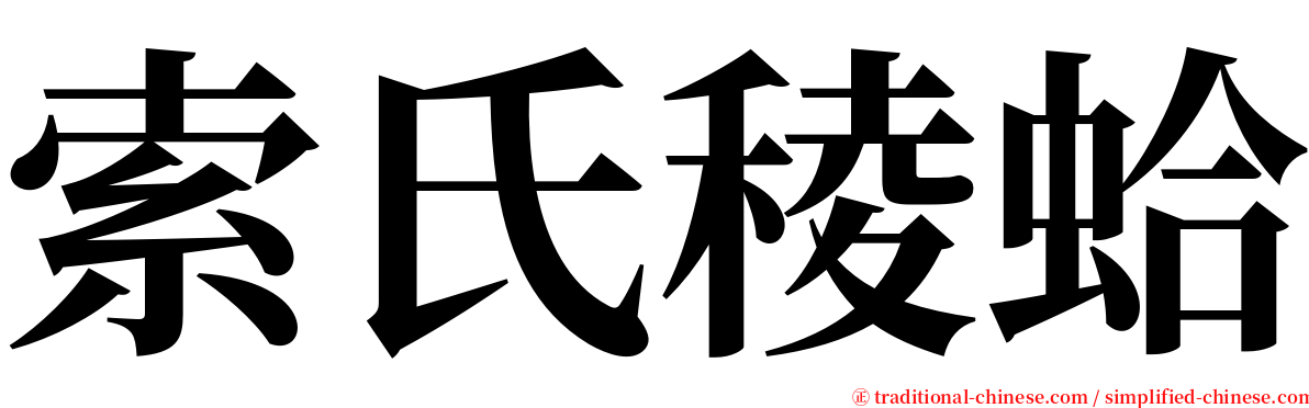 索氏稜蛤 serif font