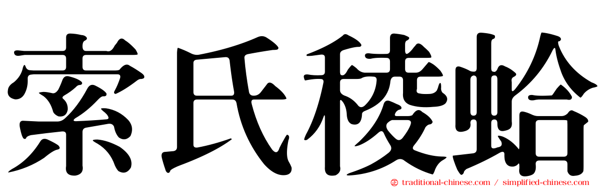 索氏稜蛤