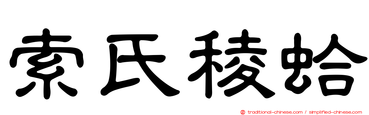 索氏稜蛤