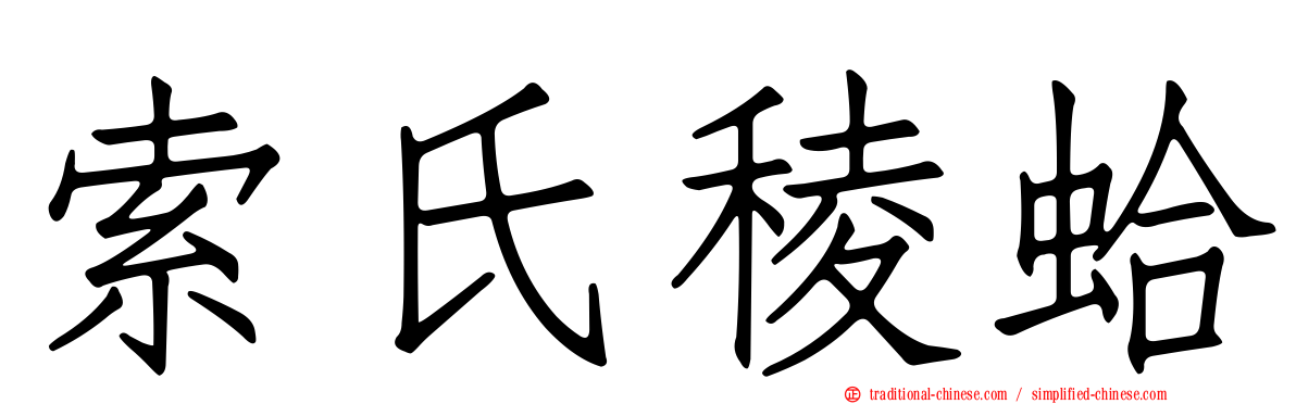 索氏稜蛤