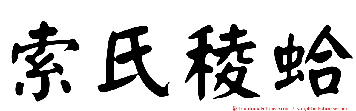 索氏稜蛤