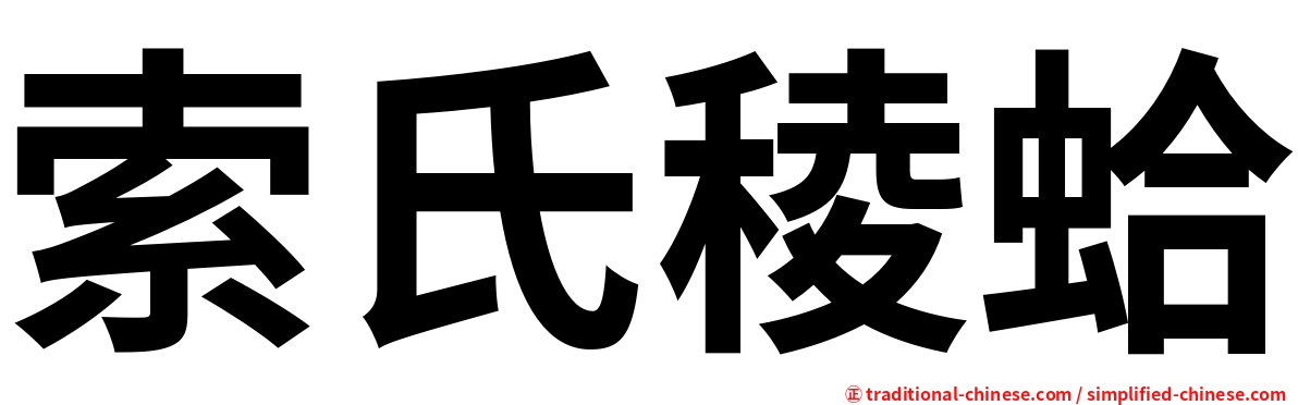 索氏稜蛤