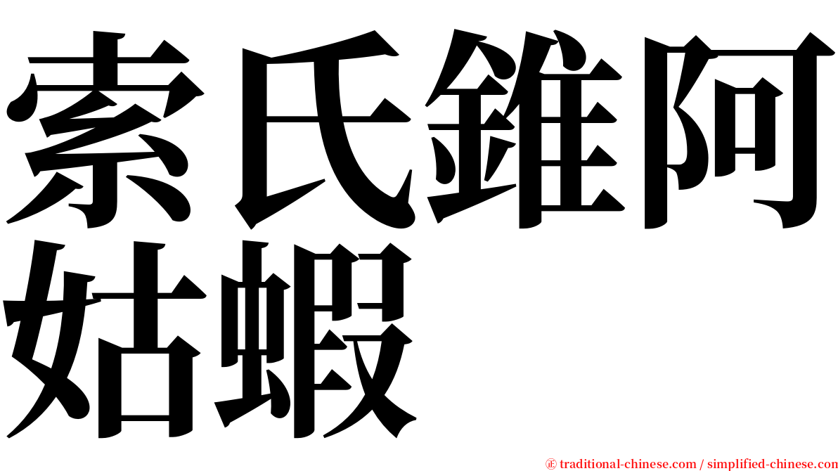 索氏錐阿姑蝦 serif font