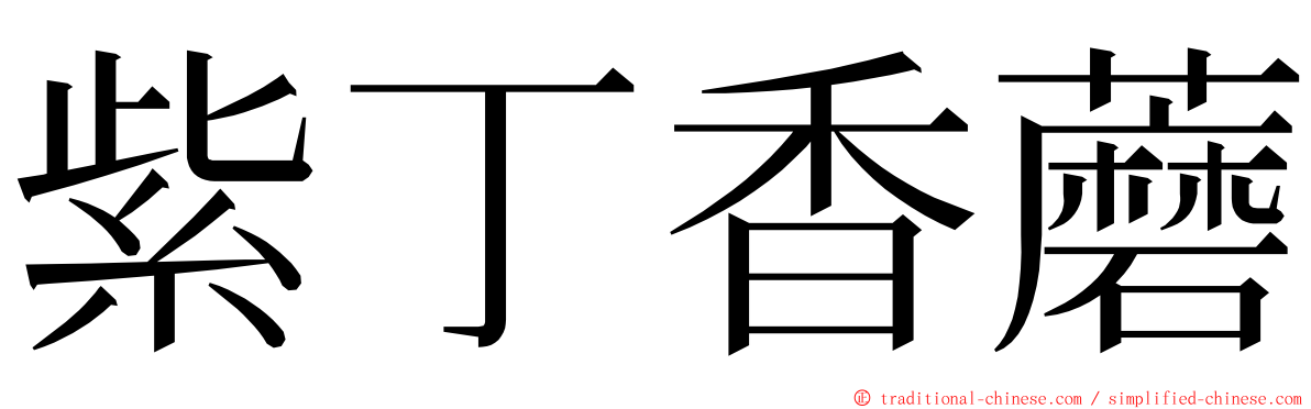 紫丁香蘑 ming font