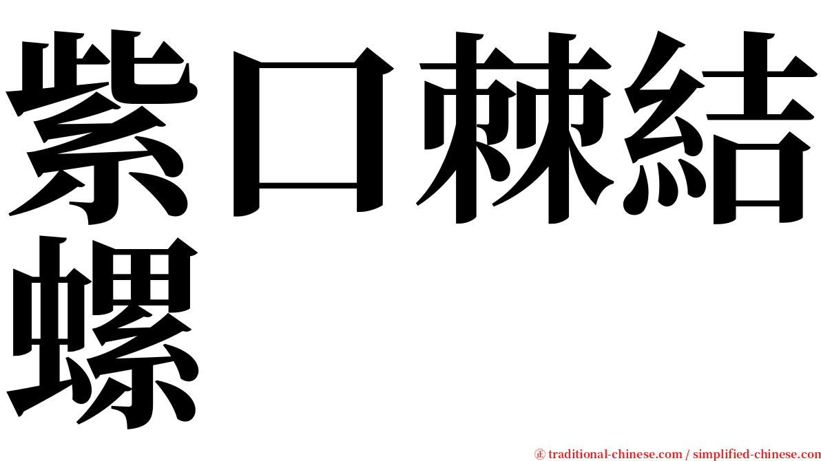 紫口棘結螺 serif font