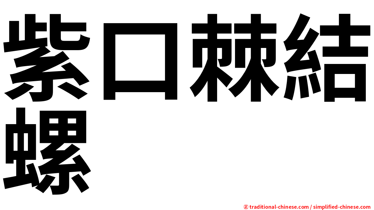 紫口棘結螺