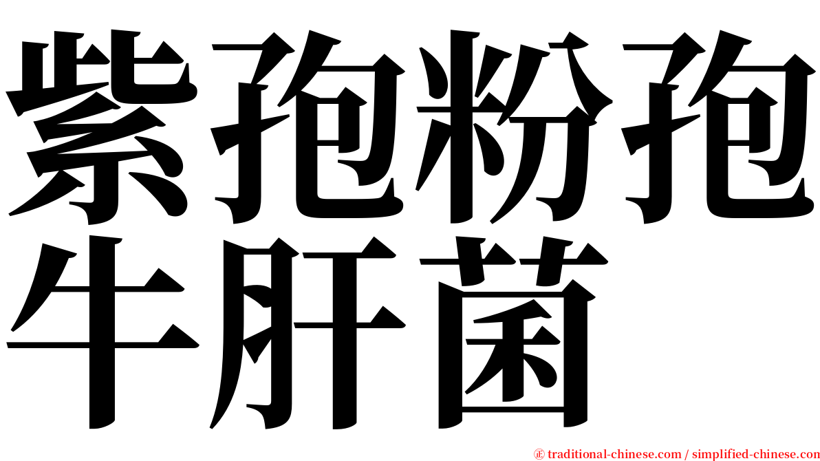 紫孢粉孢牛肝菌 serif font