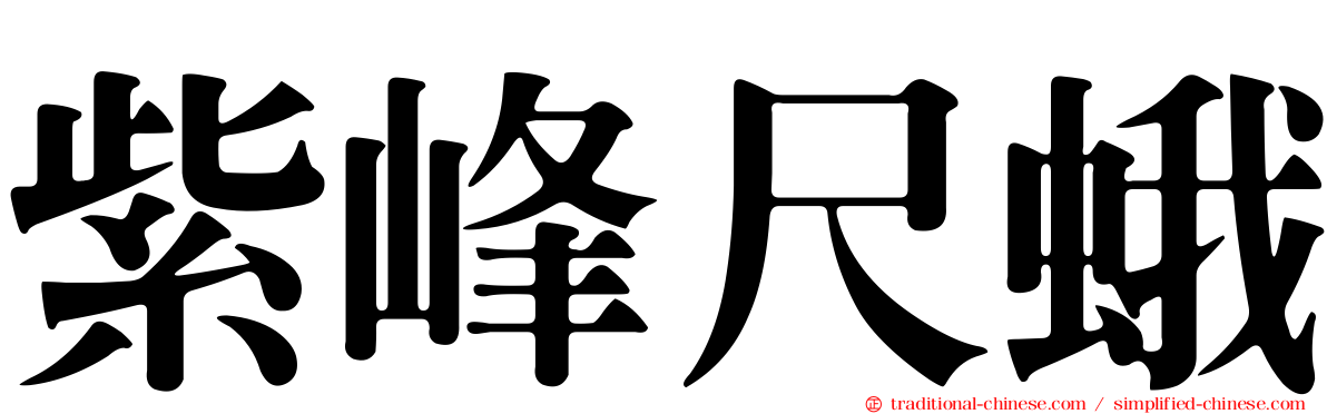 紫峰尺蛾