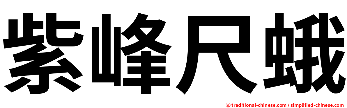 紫峰尺蛾