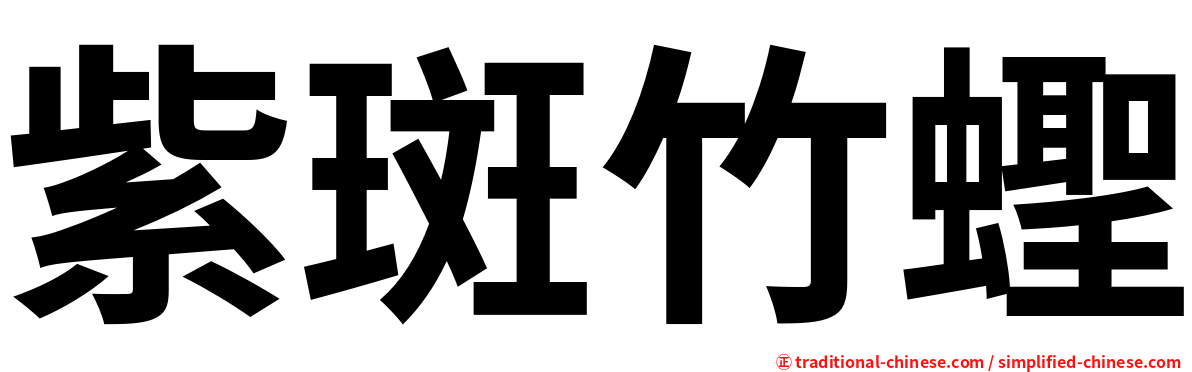 紫斑竹蟶