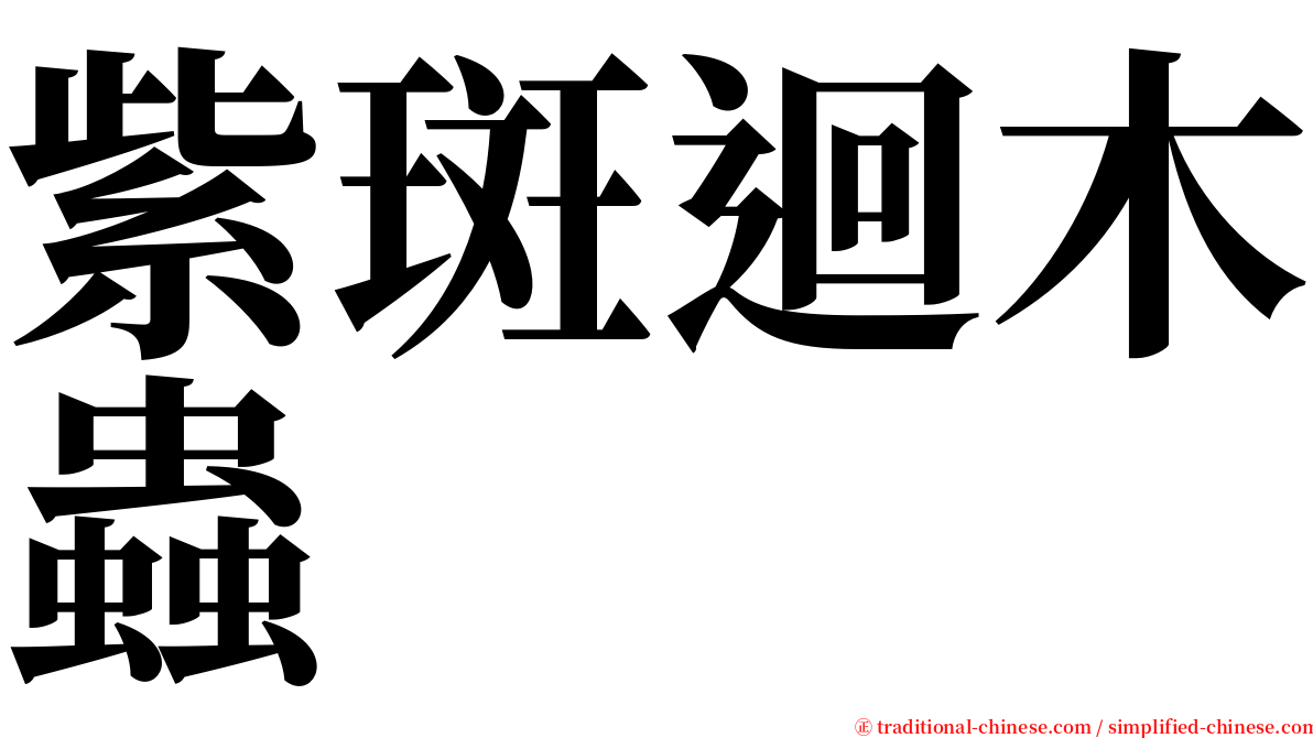 紫斑迴木蟲 serif font