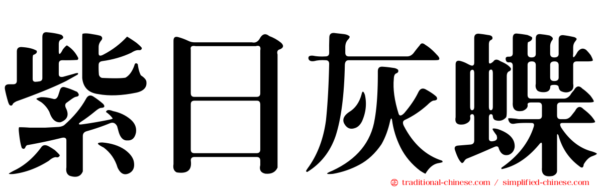 紫日灰蝶