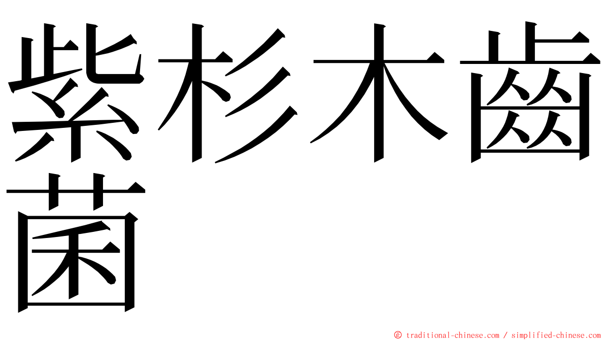紫杉木齒菌 ming font