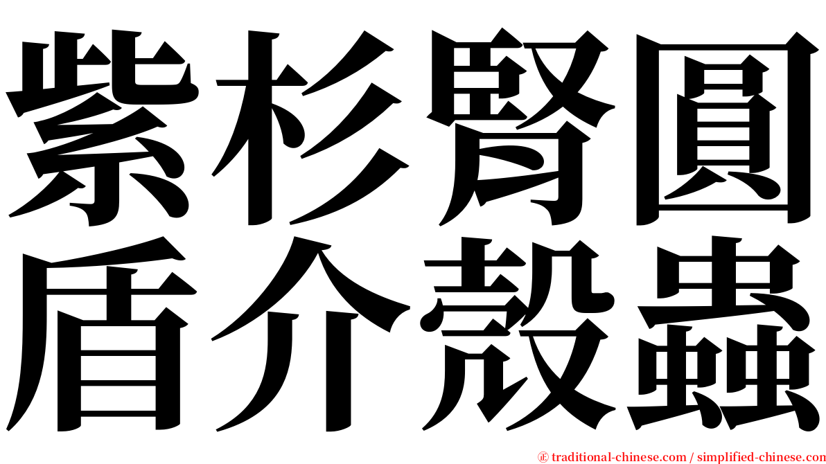 紫杉腎圓盾介殼蟲 serif font