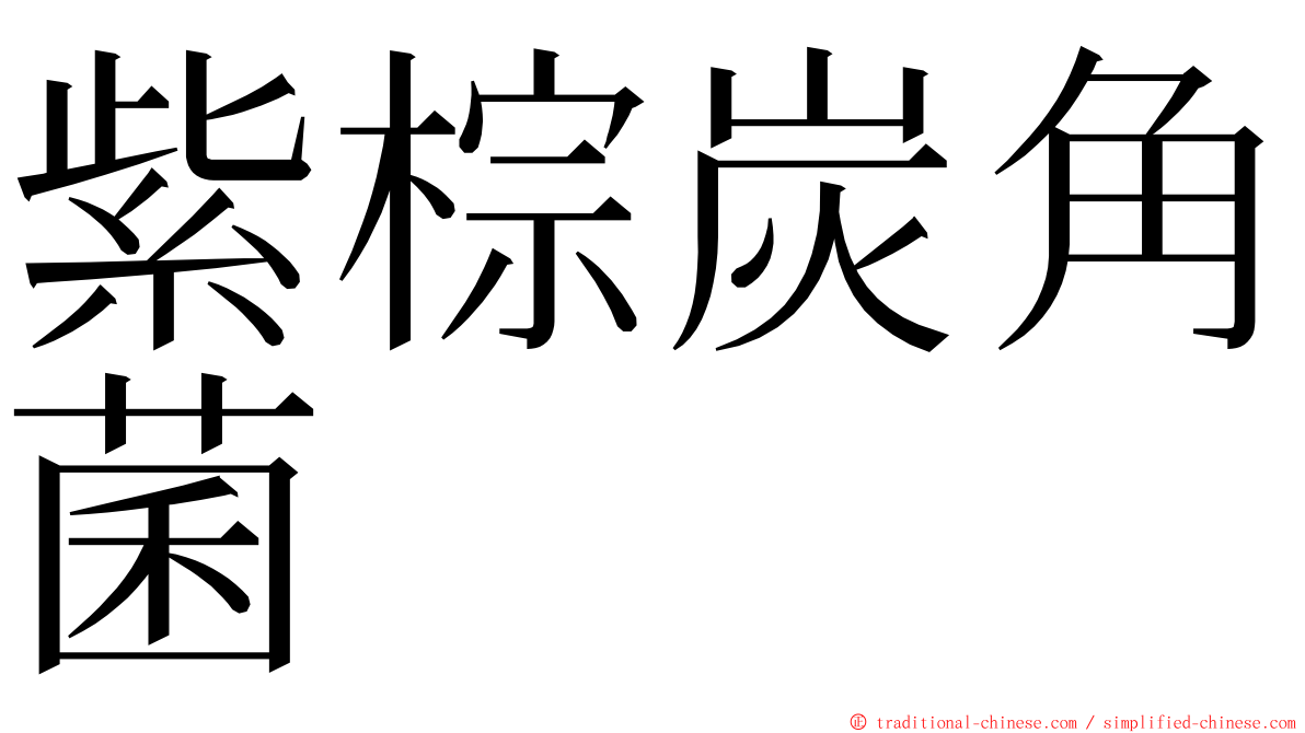 紫棕炭角菌 ming font