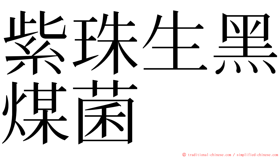 紫珠生黑煤菌 ming font