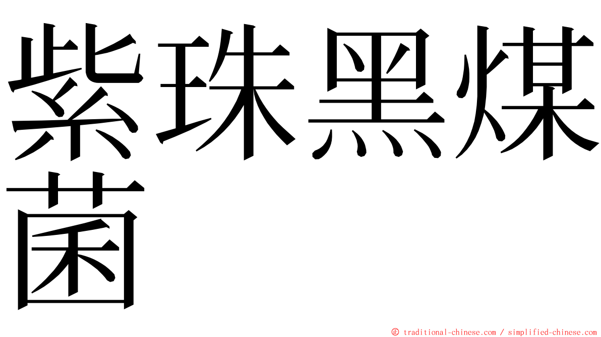 紫珠黑煤菌 ming font