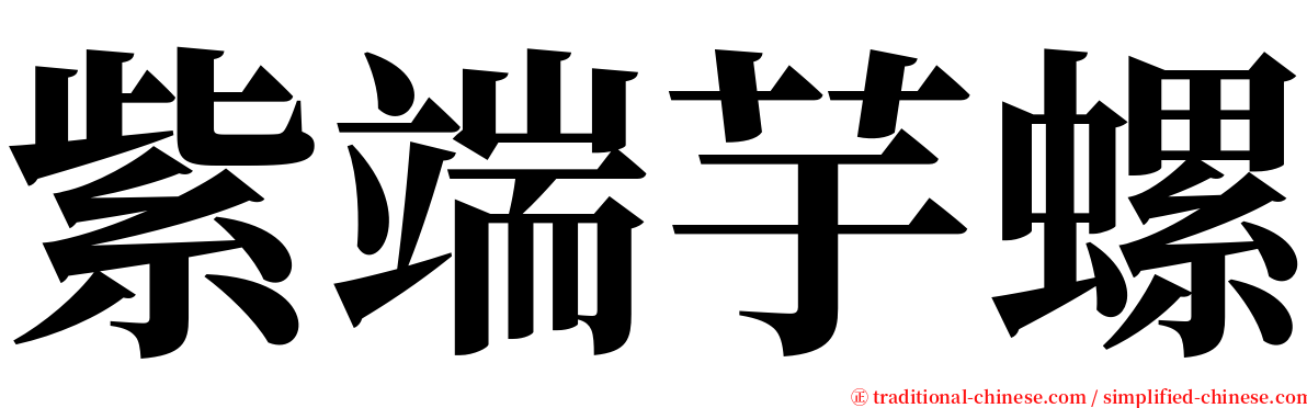 紫端芋螺 serif font